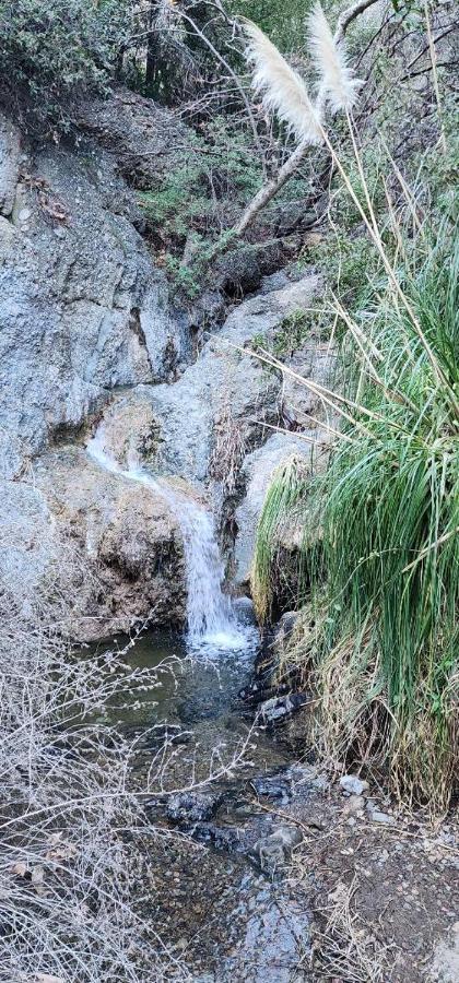 Heaven'S Best Kept Secret 4 Min From The Sea Los Angeles Exteriér fotografie